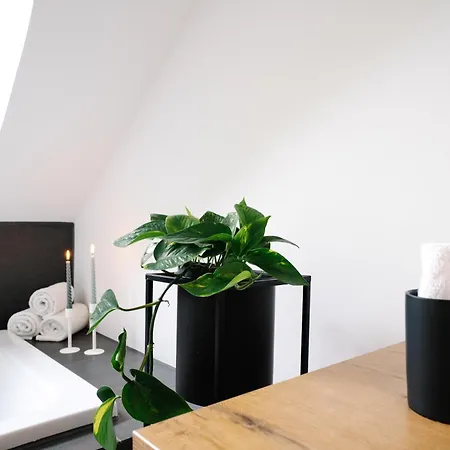 Beim Julius Apartment *